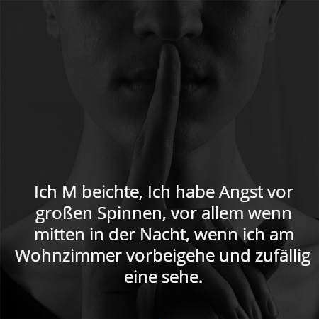 Ich M beichte, Ich habe Angst vor großen Spinnen, vor allem wenn mitten in der Nacht, wenn ich am Wohnzimmer vorbeigehe und zufällig eine sehe.