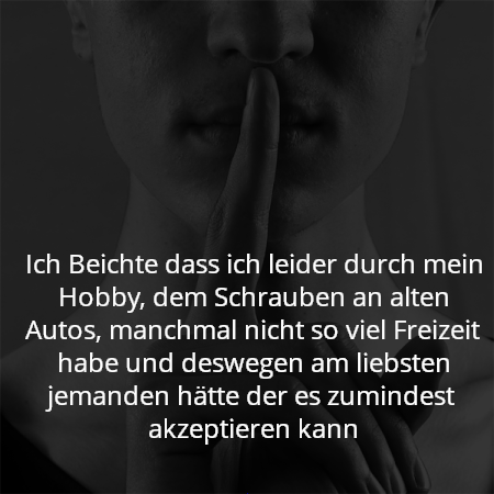 Ich Beichte dass ich leider durch mein Hobby, dem Schrauben an alten Autos, manchmal nicht so viel Freizeit habe und deswegen am liebsten jemanden hätte der es zumindest akzeptieren kann