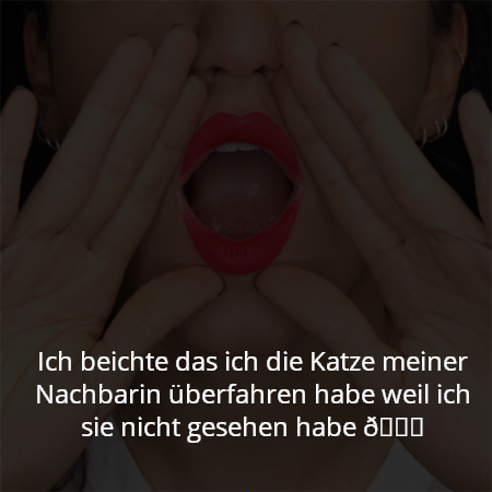 Ich beichte das ich die Katze meiner Nachbarin überfahren habe weil ich sie nicht gesehen habe 😐