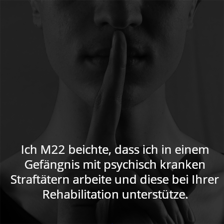 Ich M22 beichte, dass ich in einem Gefängnis mit psychisch kranken Straftätern arbeite und diese bei Ihrer Rehabilitation unterstütze.