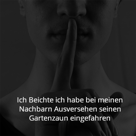 Ich Beichte ich habe bei meinen Nachbarn Ausversehen seinen Gartenzaun eingefahren