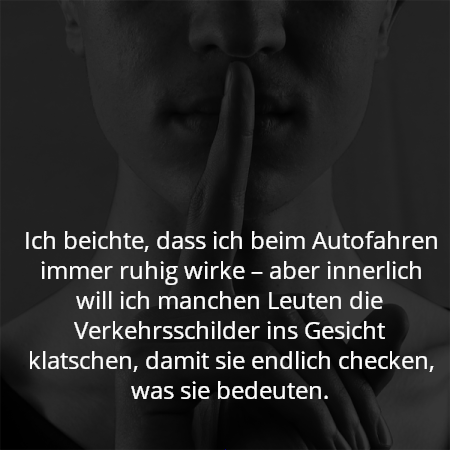 Ich beichte, dass ich beim Autofahren immer ruhig wirke – aber innerlich will ich manchen Leuten die Verkehrsschilder ins Gesicht klatschen, damit sie endlich checken, was sie bedeuten.