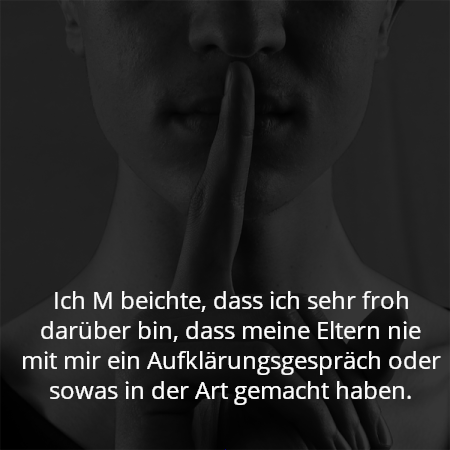 Ich M beichte, dass ich sehr froh darüber bin, dass meine Eltern nie mit mir ein Aufklärungsgespräch oder sowas in der Art gemacht haben.