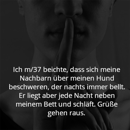 Ich m/37 beichte, dass sich meine Nachbarn über meinen Hund beschweren, der nachts immer bellt. Er liegt aber jede Nacht neben meinem Bett und schläft. Grüße gehen raus.