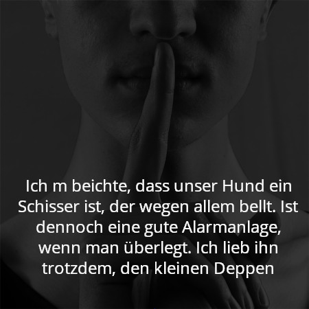 Ich m beichte, dass unser Hund ein Schisser ist, der wegen allem bellt. Ist dennoch eine gute Alarmanlage, wenn man überlegt. Ich lieb ihn trotzdem, den kleinen Deppen