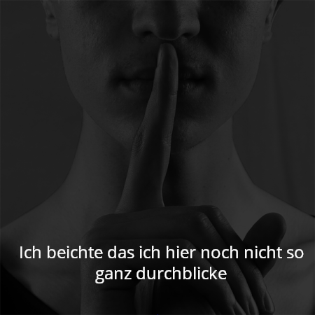Ich beichte das ich hier noch nicht so ganz durchblicke