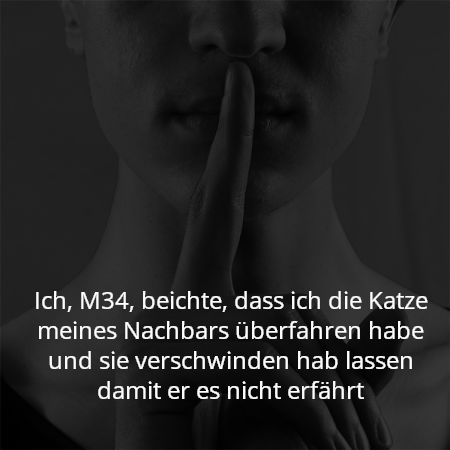 Ich, M34, beichte, dass ich die Katze meines Nachbars überfahren habe und sie verschwinden hab lassen damit er es nicht erfährt