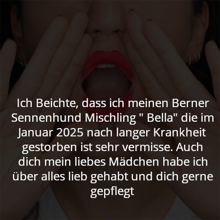 Ich Beichte, dass ich meinen Berner Sennenhund Mischling " Bella" die im Januar 2025 nach langer Krankheit gestorben ist sehr vermisse. Auch dich mein liebes Mädchen habe ich über alles lieb gehabt und dich gerne gepflegt