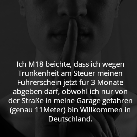 Ich M18 beichte, dass ich wegen Trunkenheit am Steuer meinen Führerschein jetzt für 3 Monate abgeben darf, obwohl ich nur von der Straße in meine Garage gefahren (genau 11Meter) bin Willkommen in Deutschland.